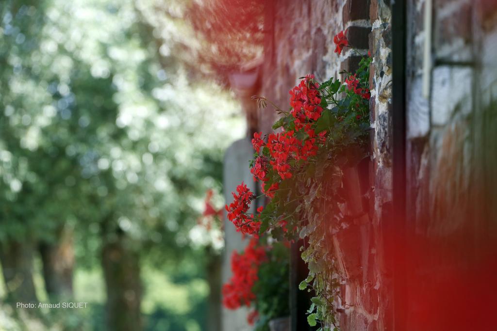 Paturages De La Kys Villa Voeren Esterno foto